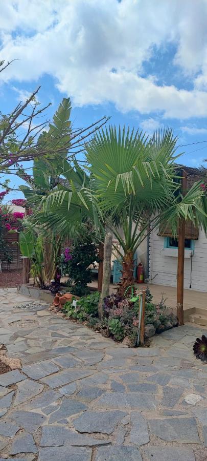 Beautiful Vintage Bungalow Wifi Parking. Las Galletas Exterior photo